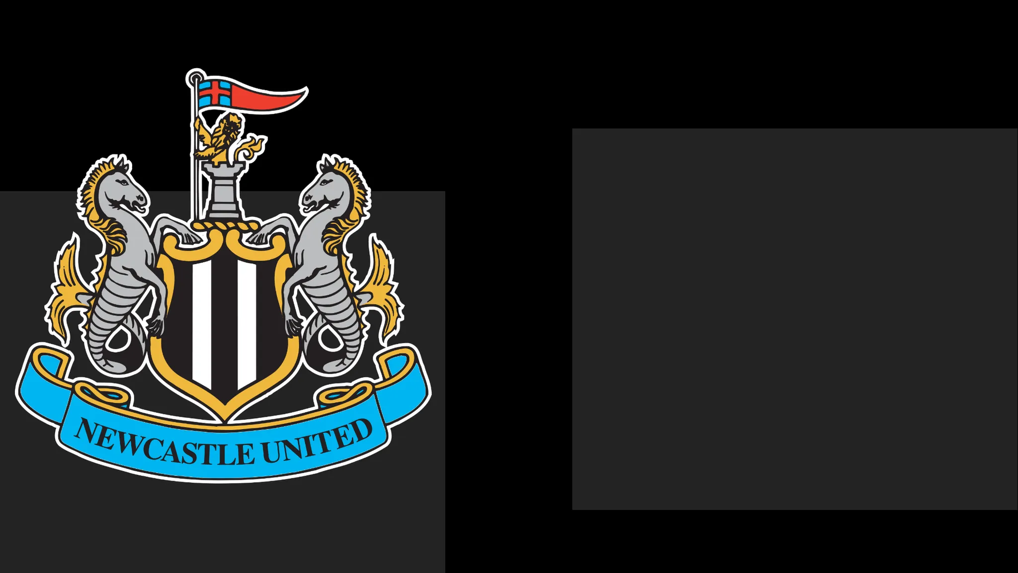 Newcastle Issue Statement of Regret to Followers Over Season Ticket Controversy
