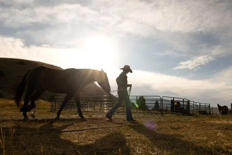 Get to Know the American Cowgirls Redefining Contemporary Farm Life