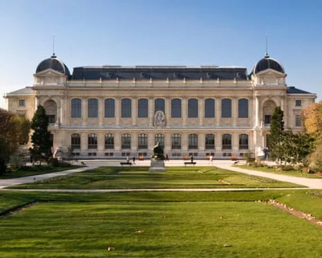 Priceless Gold Samples Snatched in Audacious Robbery at French Natural History Institution
