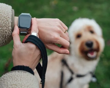 The Honest Scoop Concerning Smartwatches? Life Is Better Devoid of a Bossy Zealot on Your Wrist